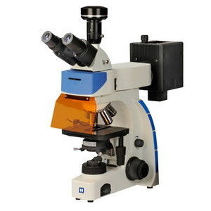 Microscopio di fluorescenza di Digital Trinocular IF-302