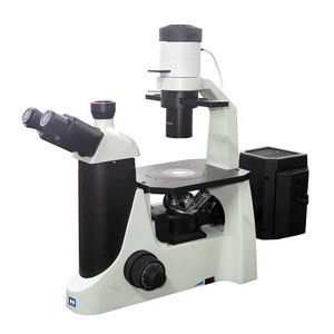 Il LED Trinocular ha invertito il microscopio di fluorescenza con la macchina fotografica a colori del CCD