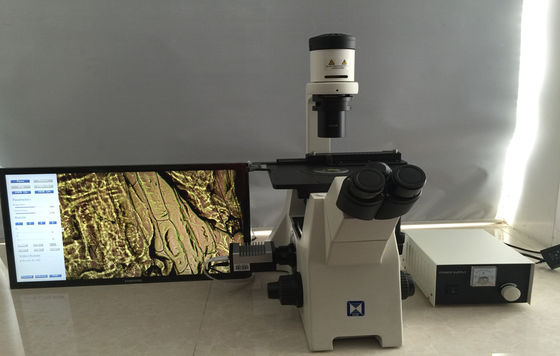 Trinocular ha invertito il microscopio biologico per la coltura cellulare della ricerca