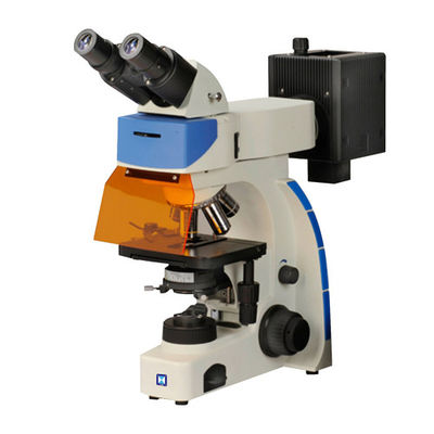 Microscopio di fluorescenza dritto binoculare IF-202